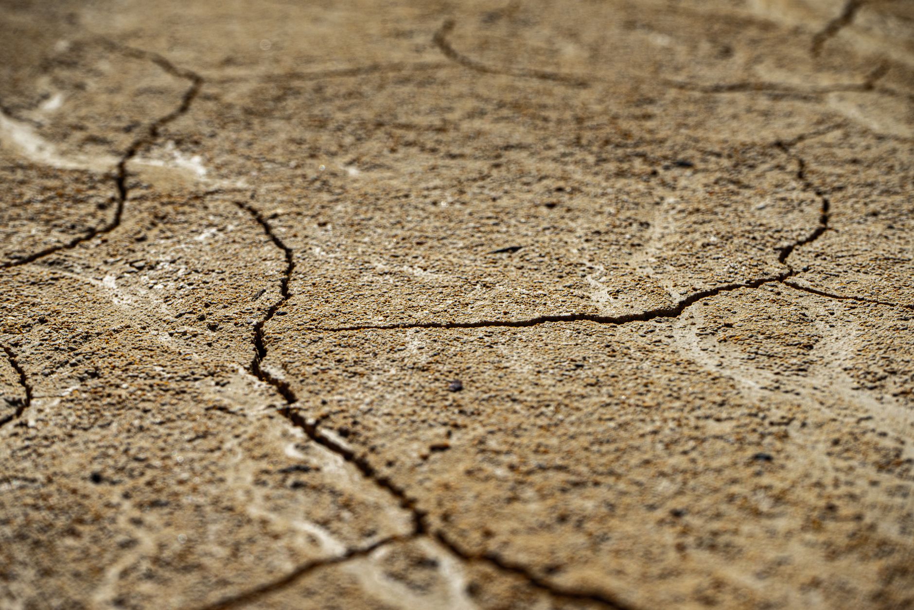Photo: Close-up view of dry, cracked earth texture with intricate patterns.