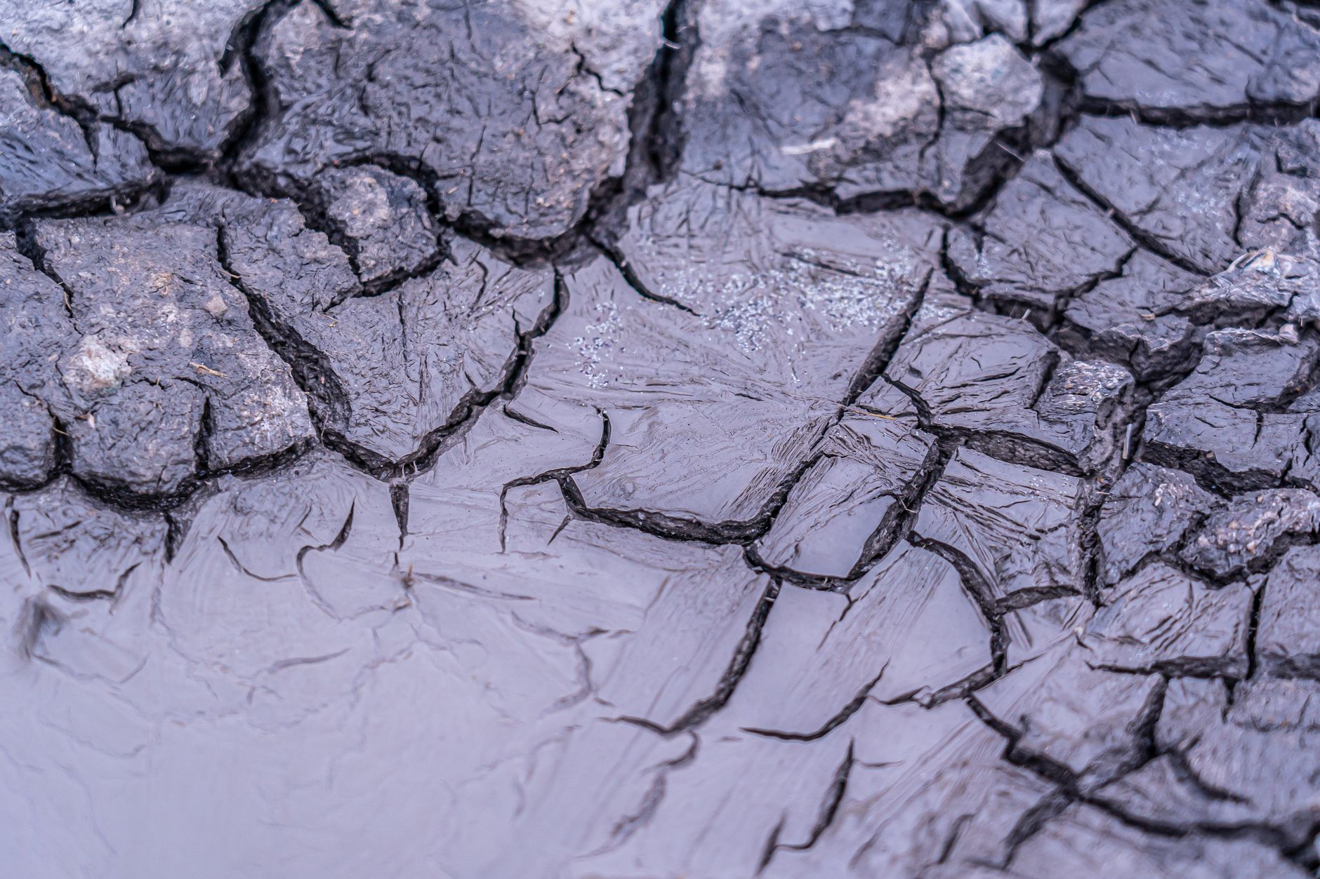 Photo: Extreme close-up of dried and cracked earth surface texture, highlighting arid conditions.