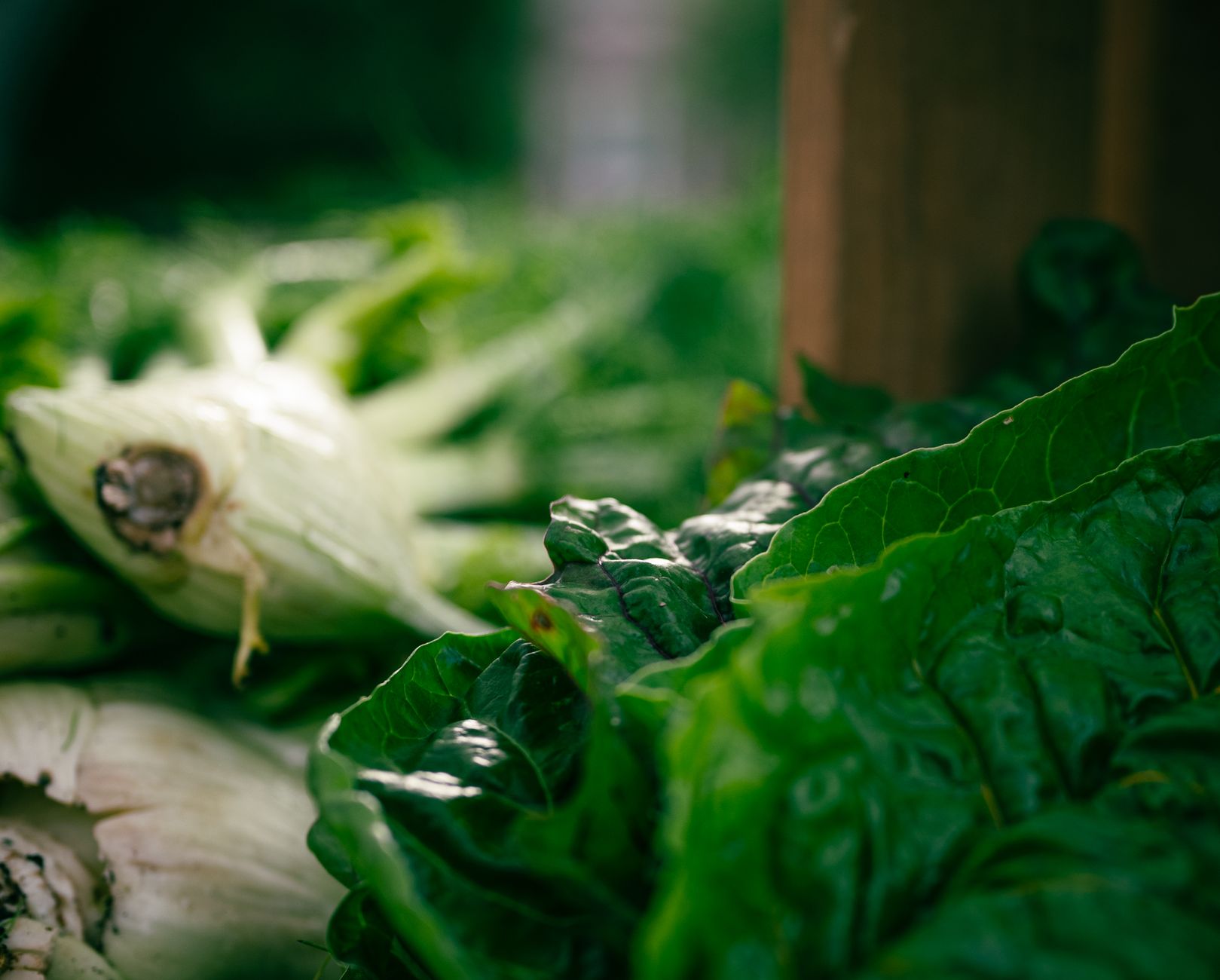 Photo: Close-up shot of fresh green vegetables showcasing healthy and organic produce.