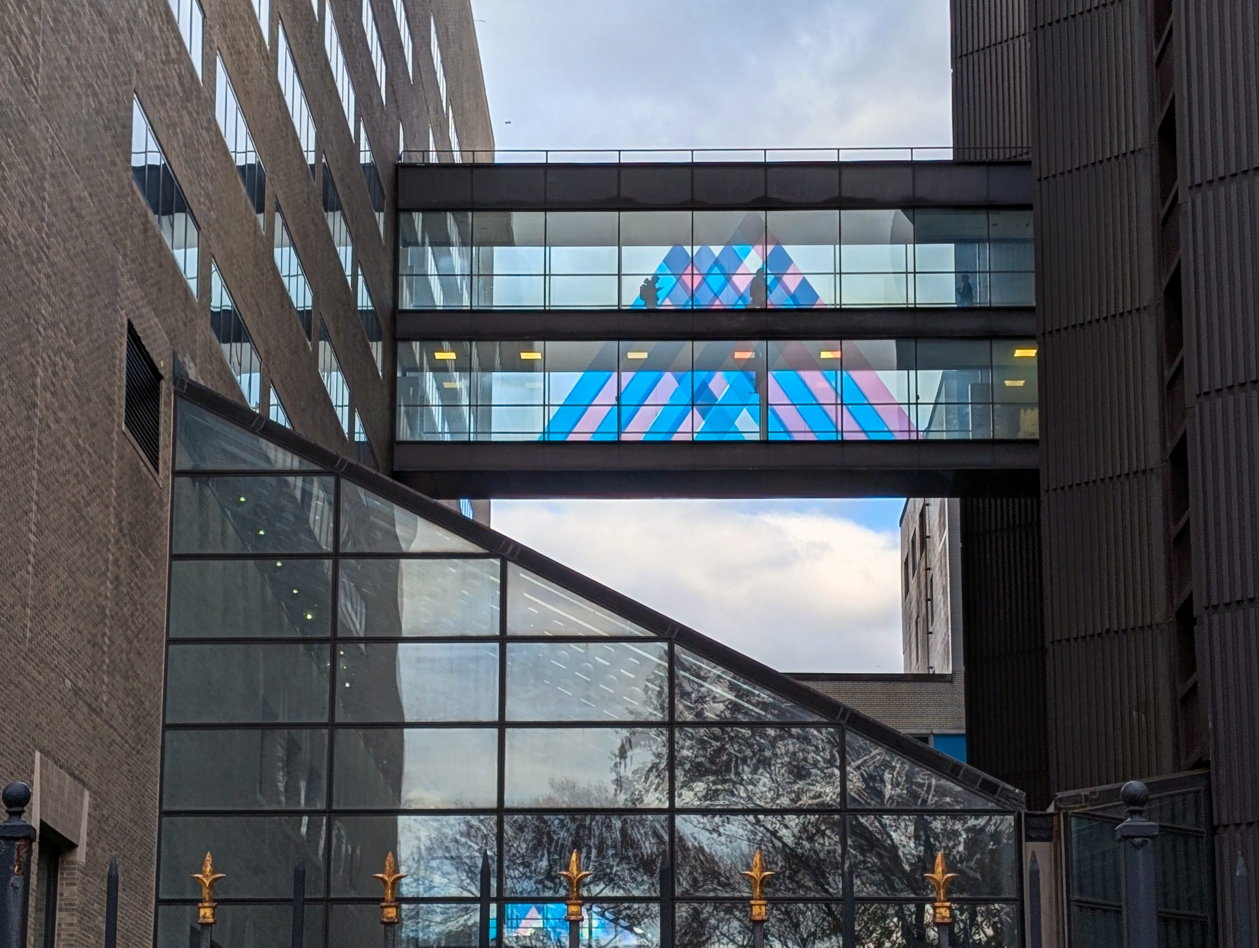 Photo of Icahn School of Medicine at Mount Sinai