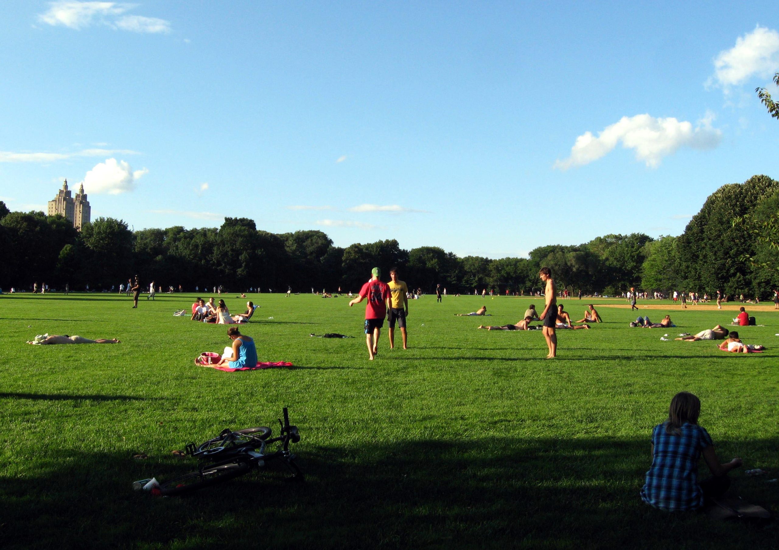 People relaxing on the Great Lawn in Central Park on a sunny afternoon, with trees and the towers of the Eldorado apartment building in the distance.