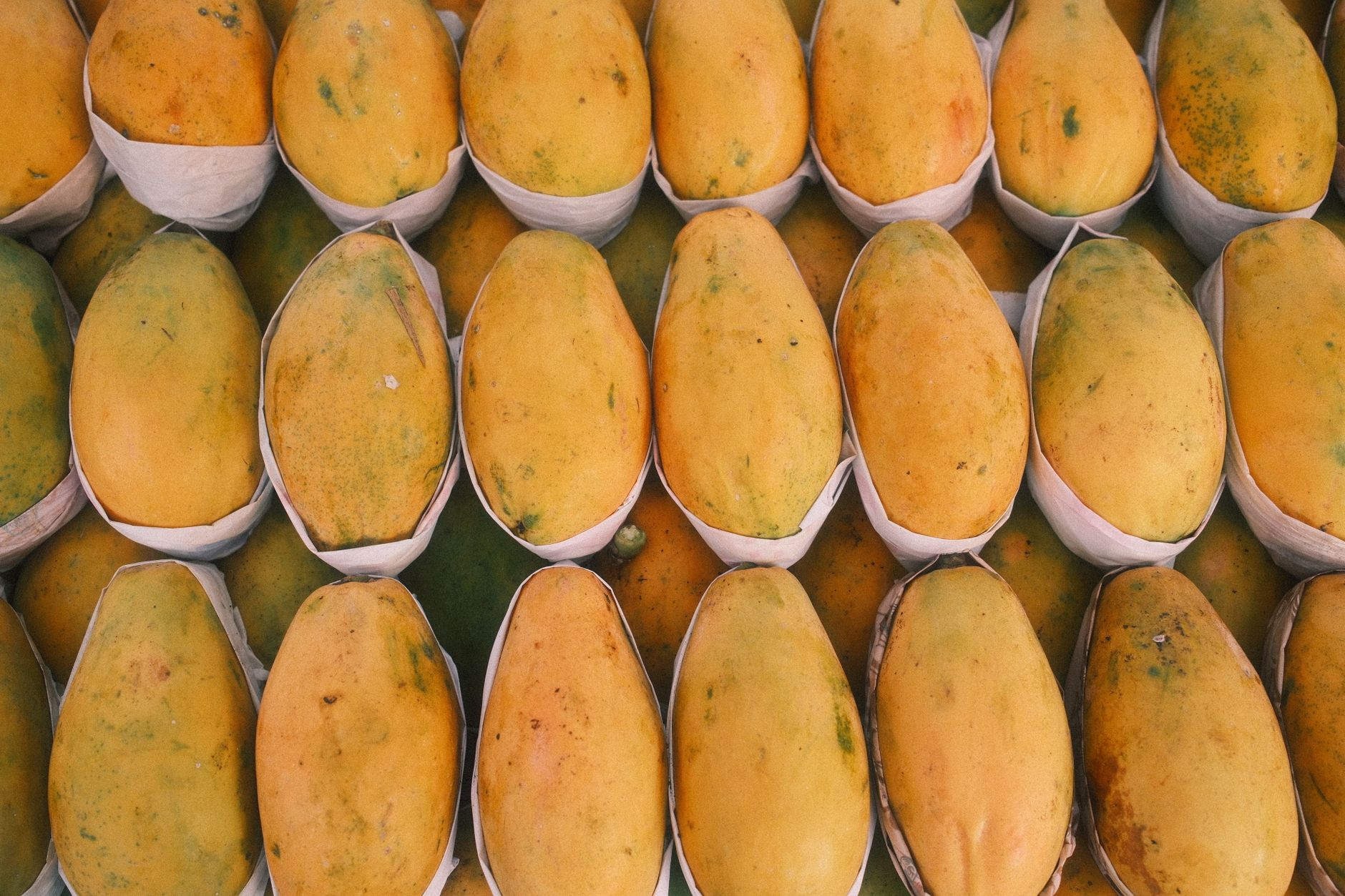Photo: A vibrant display of ripe, yellow mangoes neatly arranged in a market setting.