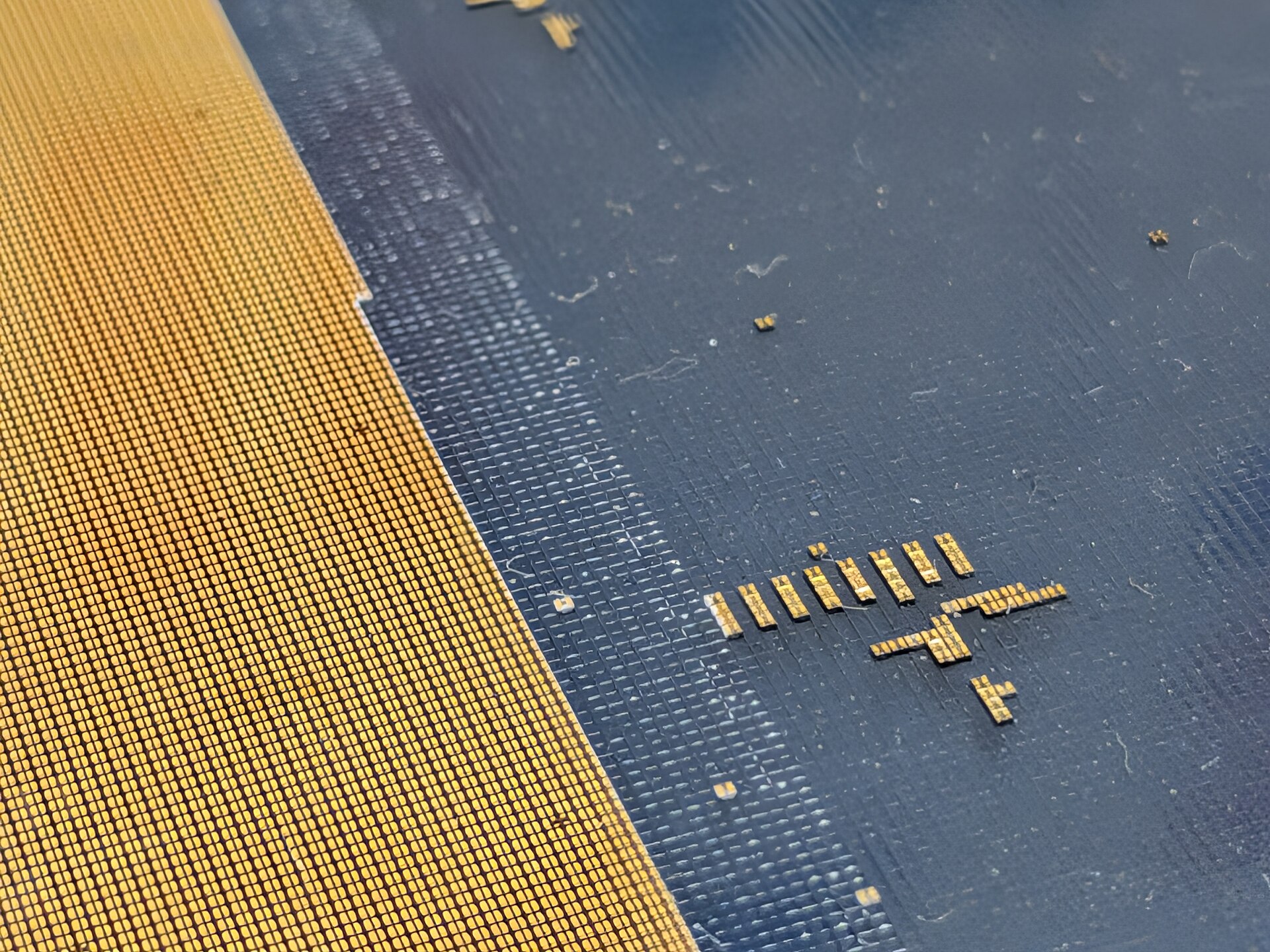 A macro view of micro-chips on a semiconductor wafer, rows of gold-coloured dies beside blue backing tape