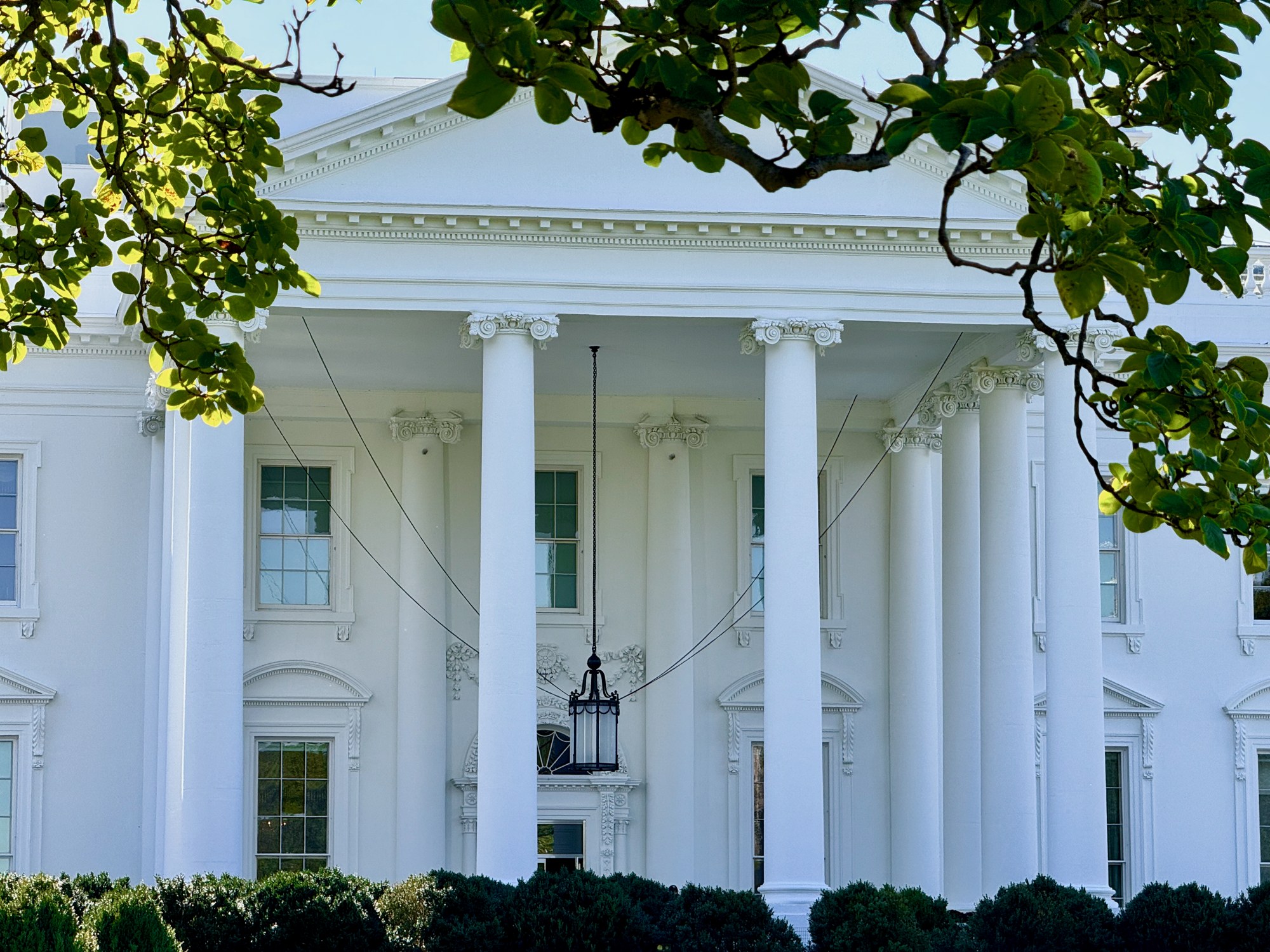 The columns and hanging lantern of the White House North Portico in Washington, framed by tree branches.