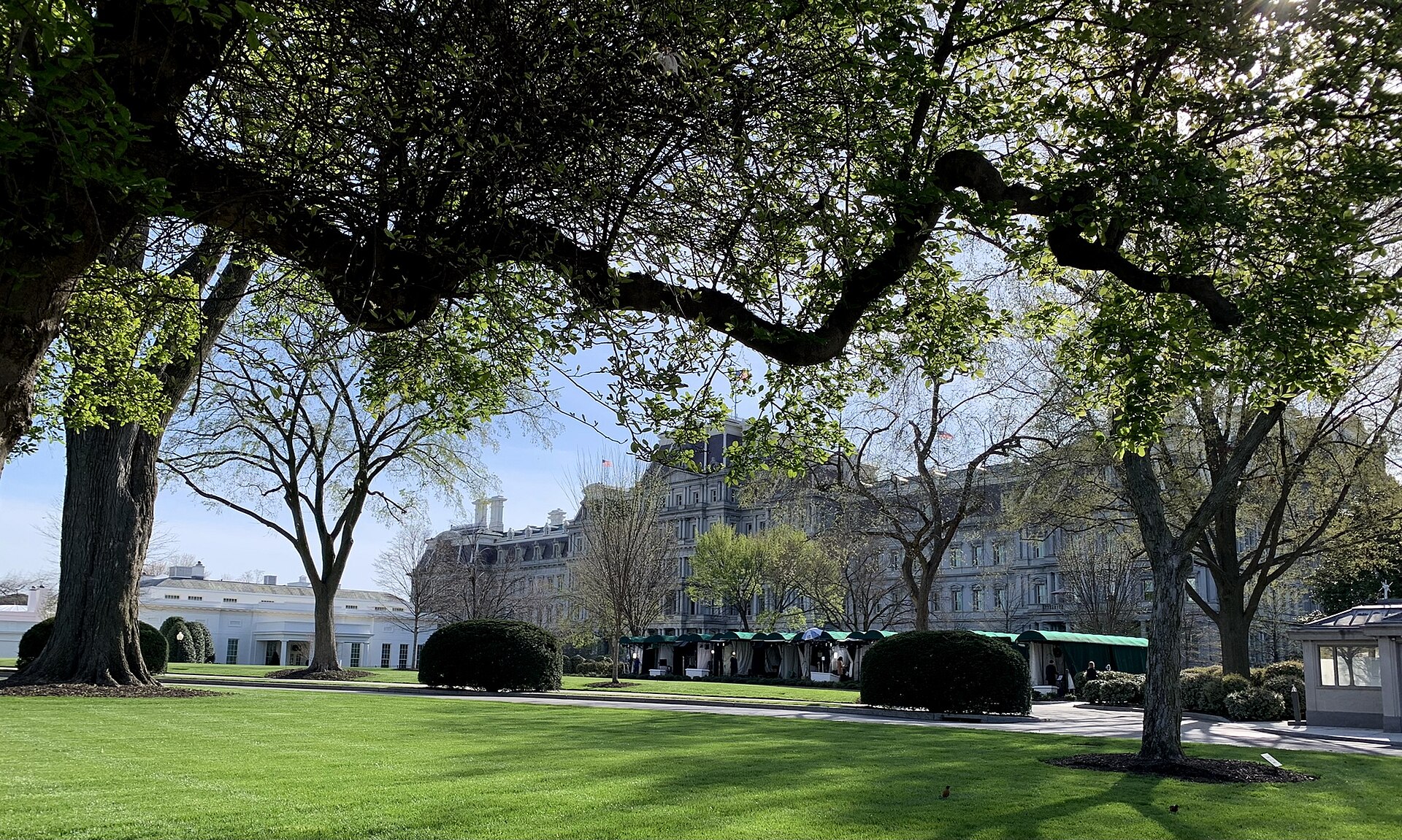 A row of green-canopied press tents on a lawn outside the White House, framed by large trees, with a white building at left and a large gray stone building behind.