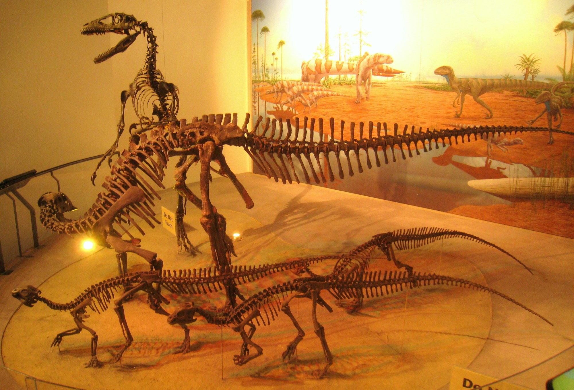 Mounted skeletons of Deinonychus and Tenontosaurus dinosaurs on a display platform in front of a painted prehistoric landscape mural at the Academy of Natural Sciences.