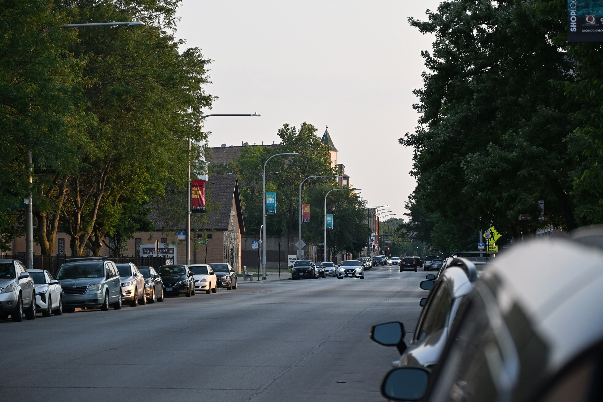 A quiet stretch of South Cottage Grove Avenue in Chicago in early morning light, with parked cars along both curbs and trees overhead.