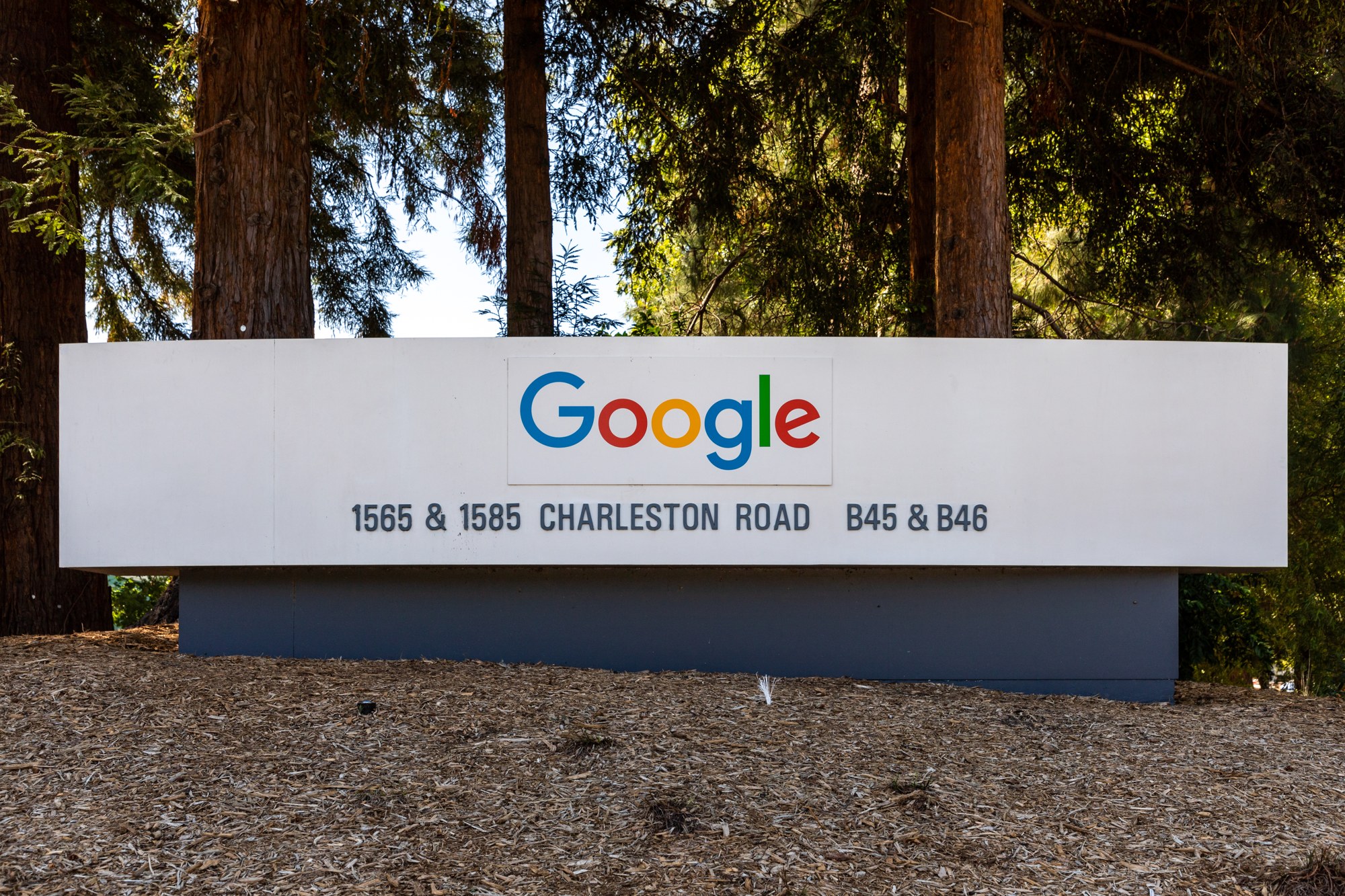 A white Google sign reading 1565 and 1585 Charleston Road on the company's campus in Mountain View, California, in front of tall trees.