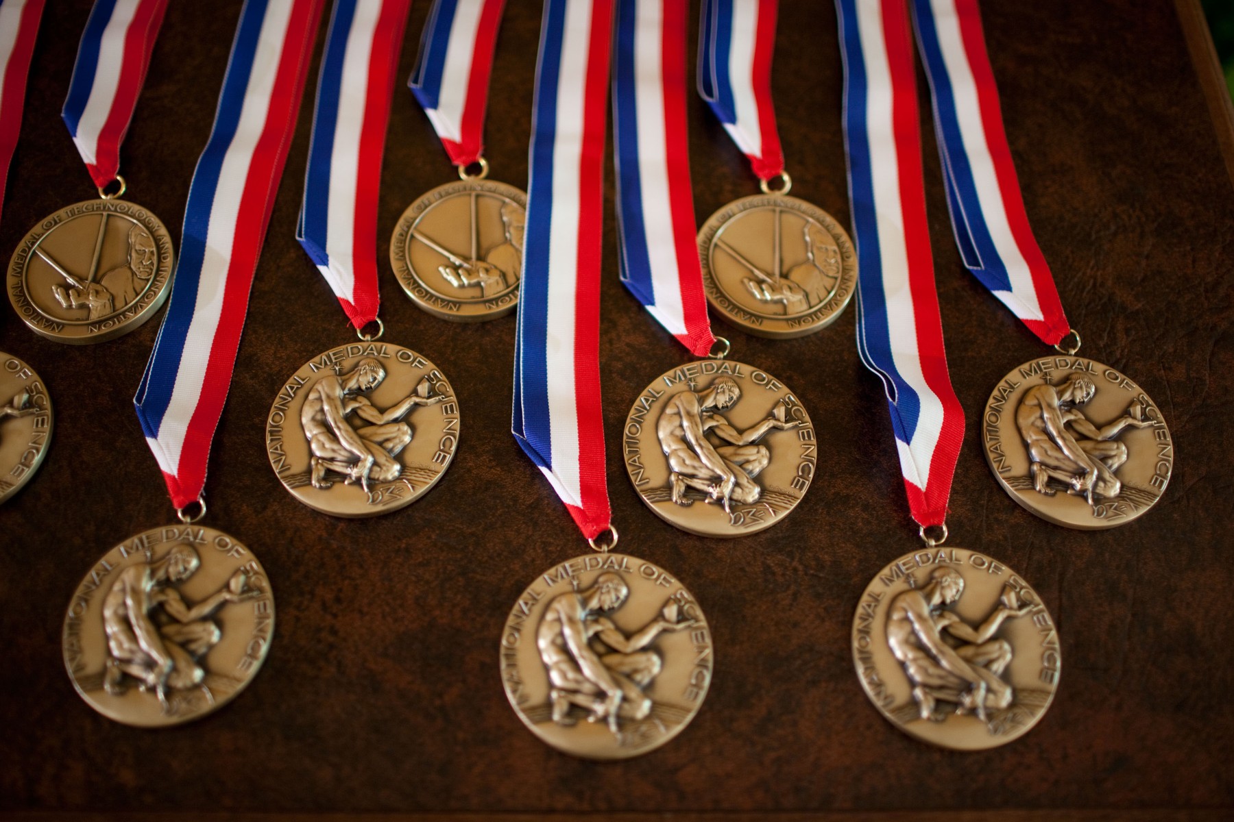 Rows of bronze National Medal of Science and National Medal of Technology and Innovation medals on red, white and blue ribbons laid out on a dark brown surface.