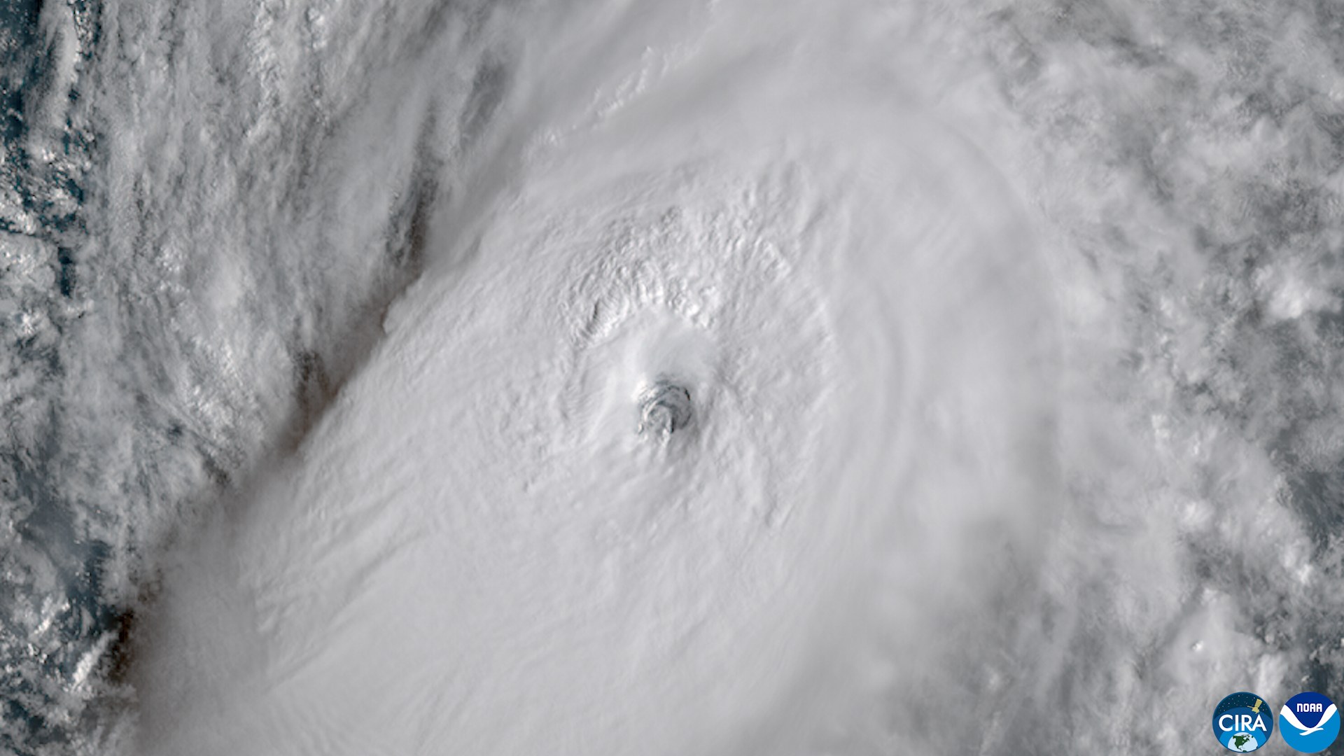 Satellite view looking down on the eye and the thick white cloud shield of Hurricane Nolo, with the CIRA and NOAA logos in the lower right corner.